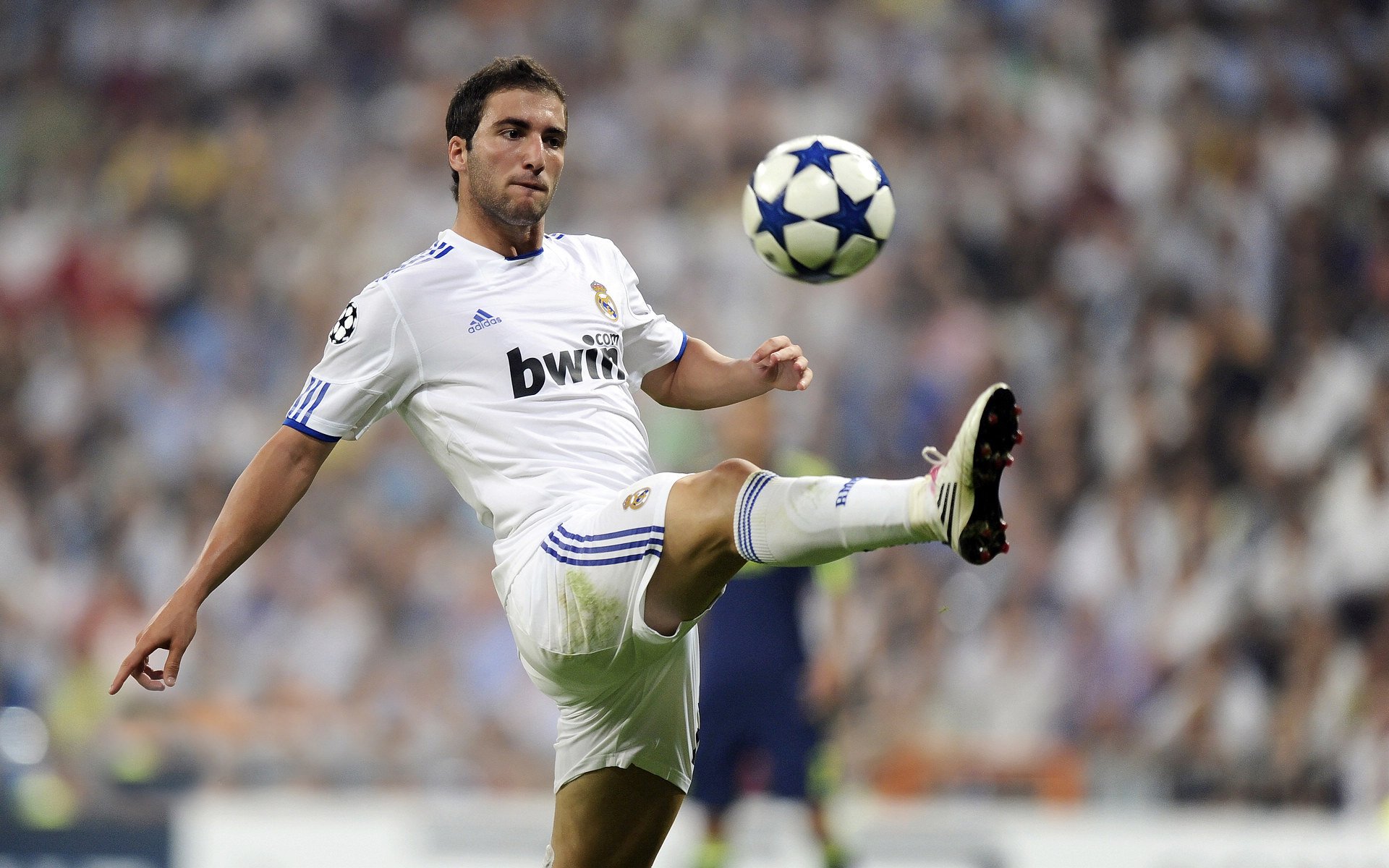 德国队后程冲刺略逊 仍具潜力,德国队can