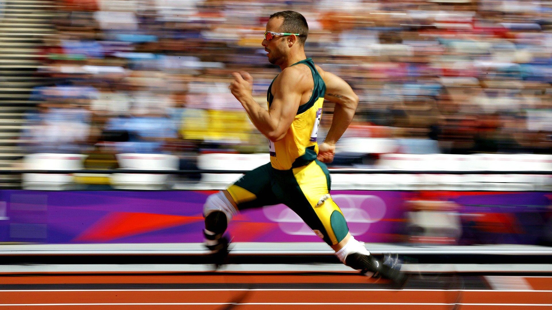 技术数据显示自由泳冠军滑行占比超20%,自由泳 滑行