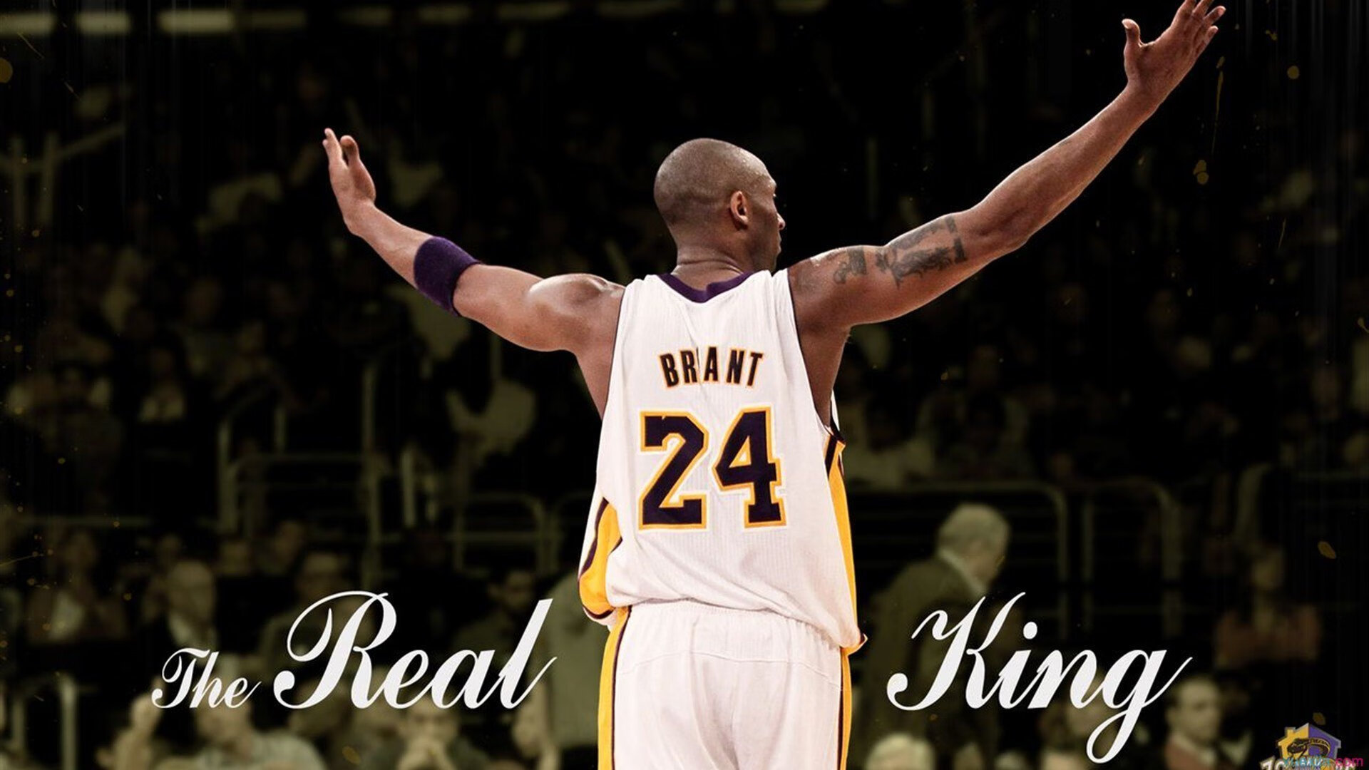 体育赛事志愿者招募启动,体育比赛志愿者招募