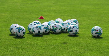 爱游戏综合娱乐-乒乓德甲俱乐部商业转型的痛点与破局方案，德乒乓球男队队员