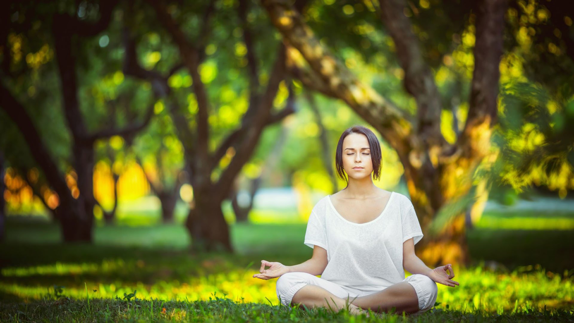 国际拳击防护装备评测:新材料提升安全防护标准,拳击防御基础入门